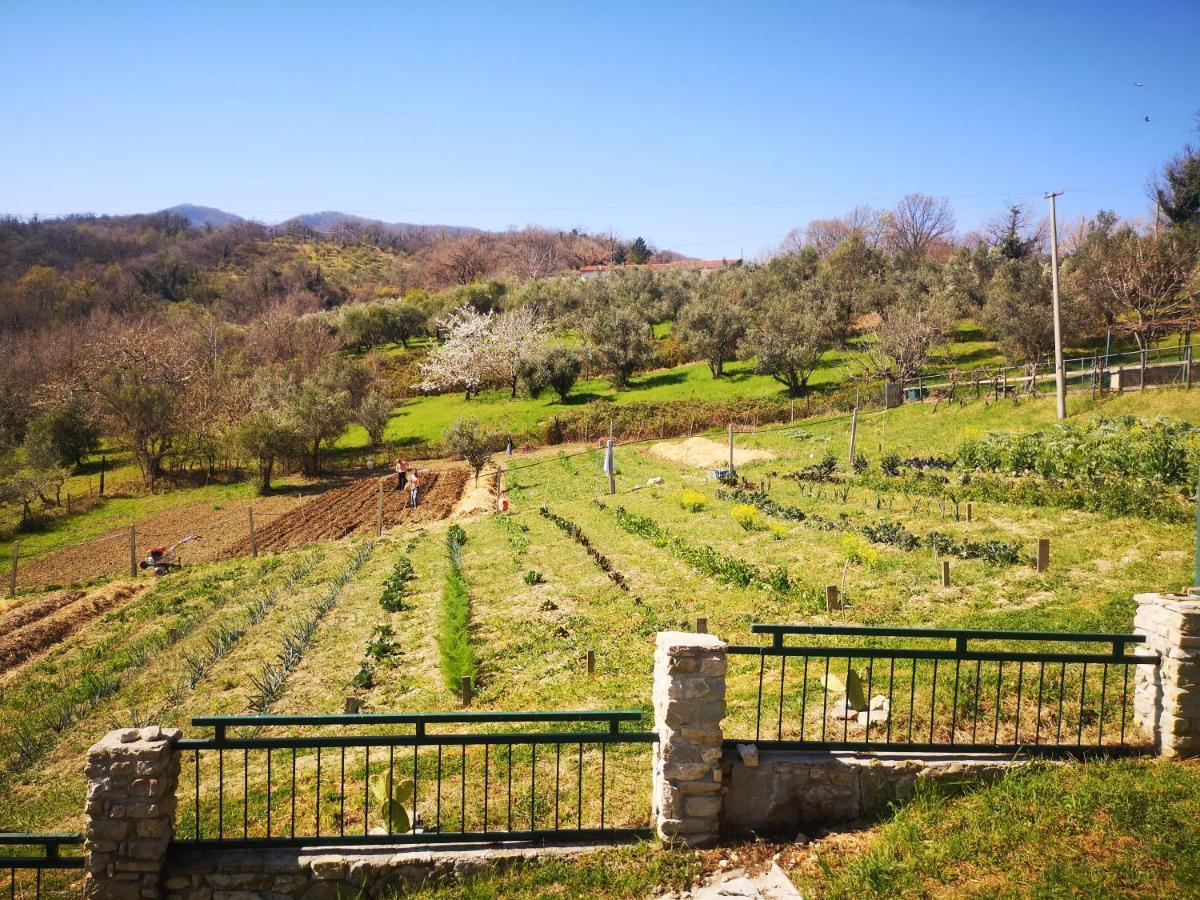 Agriturismo Olimpo Villa Santa Maria  Exterior photo